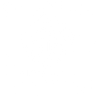 SkyShield Technology logo